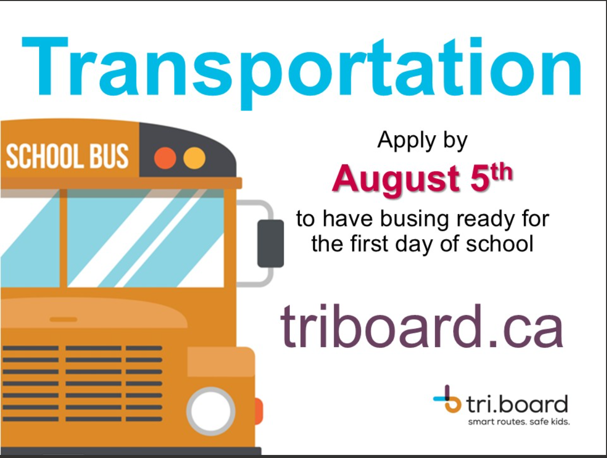 Screenshot 2026 02 20 135227