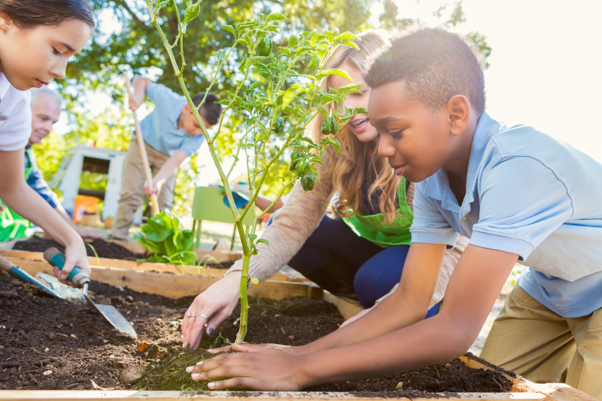 Elementary students working in a garden outside